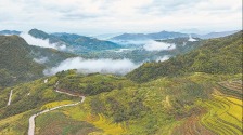 福建政和：雲上梯田 “吃上文旅飯”_fororder_bbec51fb-3dcd-41bc-b31c-71b4faaf5a3f