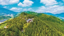 福建周寧：一片林蹚出一條生態致富路_fororder_265c1d71-47ec-4601-b686-e98be9a00cc4