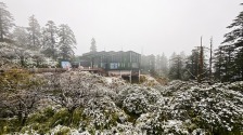 眉山洪雅：瓦屋山初雪早至 彩林雲海引客打卡_fororder_1