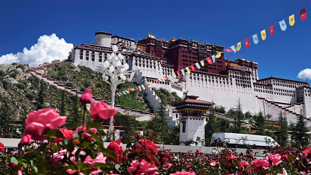 【新思想引領新征程】民族團結之花盛開在雪域高原_fororder_1755611373114_106