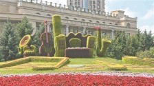 花草織就夏日美景_fororder_1169e17bbaeb4eec9e848b6c4033e1f8.768x575.750x2147483647