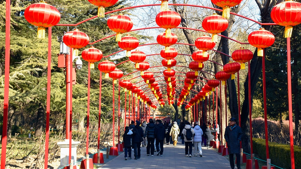 多彩活動鬧新春 喜慶祥和中國年_fororder_1771414257979_504