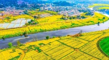 2026年重慶四季賞花寶典來了