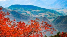 重慶巫山：初冬美景引客來
