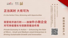 民營經濟進行時——加強中小微企業對可持續增長與創新的推動作用