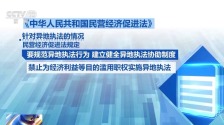 民營經濟促進法今起實施 支持民企牽頭國家重大技術攻關任務