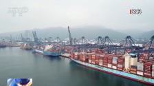 上半年我國服務貿易收入同比增長13%