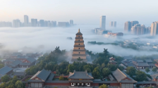 AI陜聯世界 | 從“鋼鐵駝隊”到産能合作 陜西重塑亞歐貿易“C位”