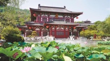 暑期旅遊市場持續升溫  西安躋身全國熱門旅遊城市前十