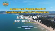 被低估的“購物天堂”！來海南，開啟你的“免稅掃貨遊”吧～_fororder_微信圖片_20260126090310_1017_145
