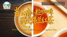 【瀾湄之窗】當雲南小粒咖啡遇上錫蘭紅茶_fororder_677550f671cec800cbd00bcedcdb3162