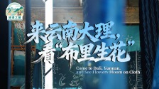 【瀾湄之窗】來雲南大理，看“布裏生花”_fororder_微信圖片_20250925141234_97_22