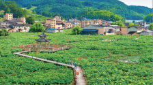 寧德：執“融合之筆” 繪“詩與遠方”_fororder_福建