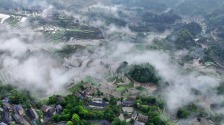 重慶酉陽：梯田披“雲裳” 鄉村如畫卷