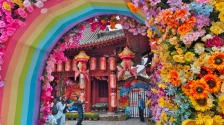 菊香開封