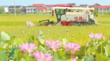 圖片默認標題