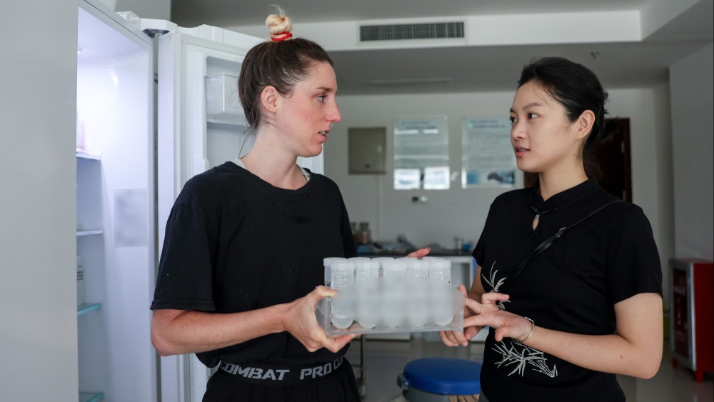 資訊有故事丨世界海洋日 法國女科學家講述保護中華白海豚的科研奧秘