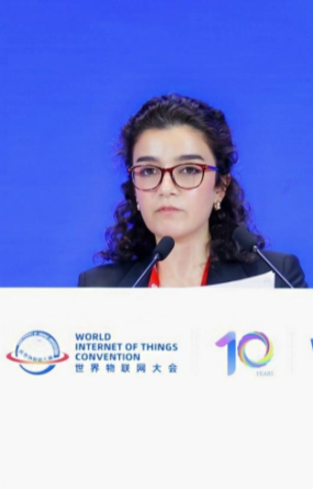 阿塞拜疆經濟部官員：期待與中國在科技領域持續深化合作 助力阿塞拜疆經濟數字化轉型