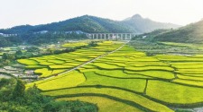 圖片默認標題
