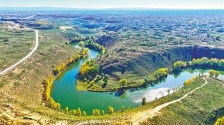 鄂爾多斯：大溝灣披上金色盛裝