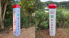 圖片默認標題