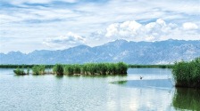 呼和浩特：哈素海生態保護旅遊開發實現雙贏