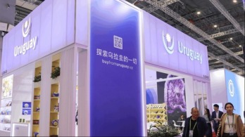 跨越半個地球的合作，見證全球南方團結自強