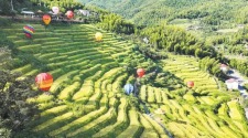 湖南瀏陽：梯田秋韻入畫來