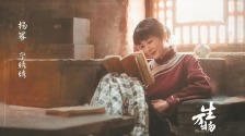 推動行業從“明星中心制”轉向“劇本中心制”—— 誰來重振長劇榮光？