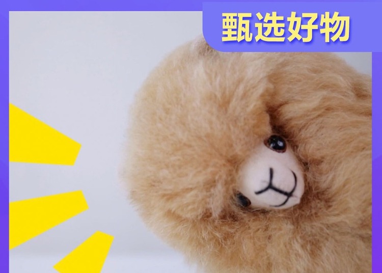 來自秘魯的羊駝玩偶，想擁有嗎？只在國際甄選